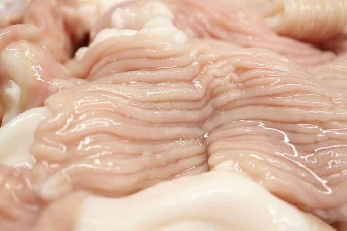 Beef Long Tripe (Daicho) - AL MODINA