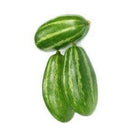 Three green ivy gourds with light green stripes isolated on white background