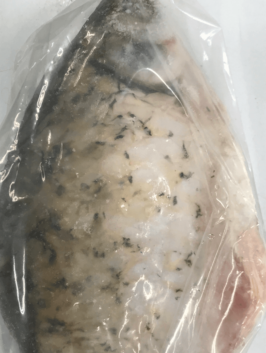 Shor puti (Fish) - AL MODINA