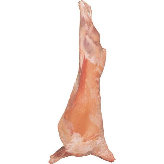 Lamb Carcase Whole 9~14Kg Size - AL MODINA