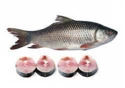 Ruhi whole 3 kg up cut - AL MODINA