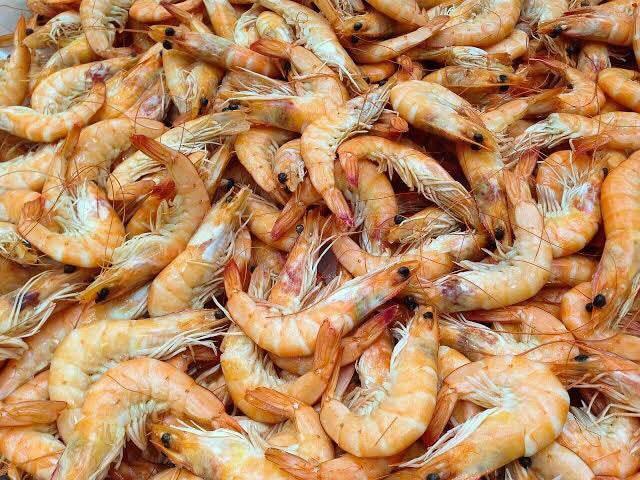 Dry Shrimp 200g - AL MODINA