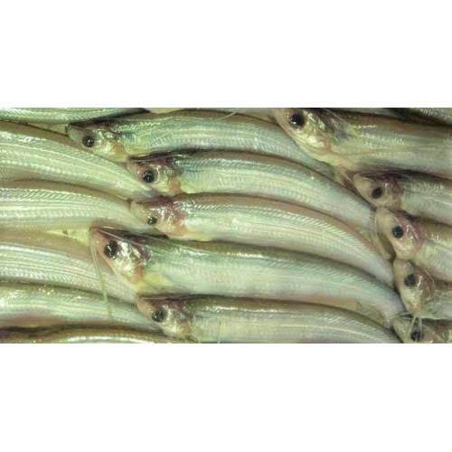 Batashi Fish 250g - AL MODINA