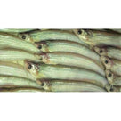 Batashi Fish 250g - AL MODINA