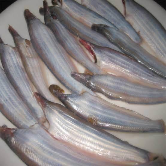 KAJOLI 200gm - AL MODINA
