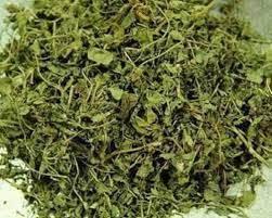 Close-up of dried green kratom leaves, herbal botanical background