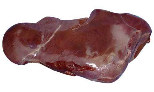 Raw fresh liver with smooth, glossy dark reddish-brown surface isolated on white background
