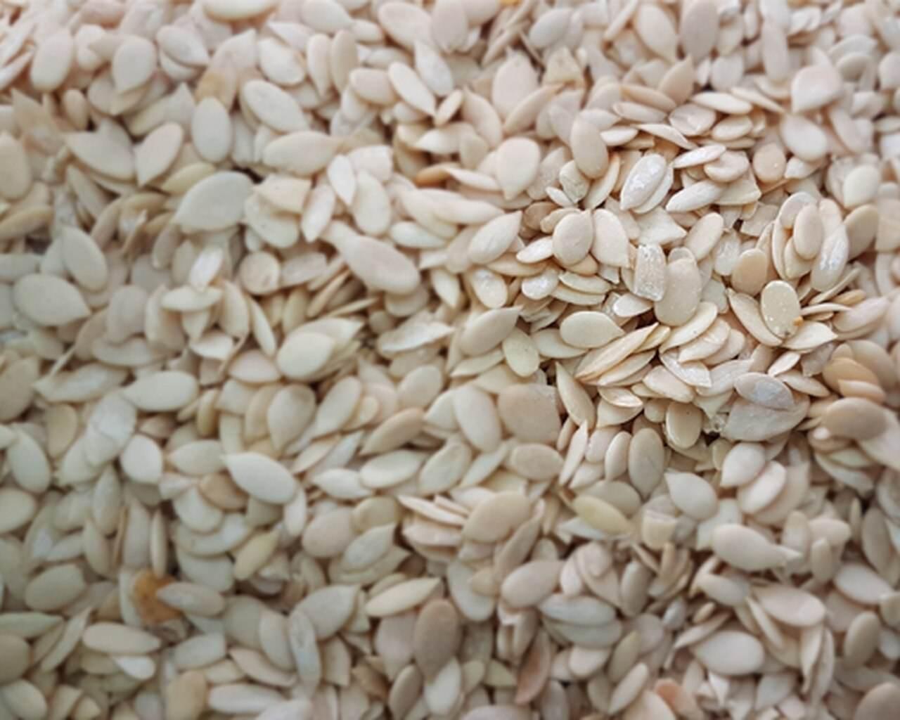 CHAR MAGAZ 500g - AL MODINA