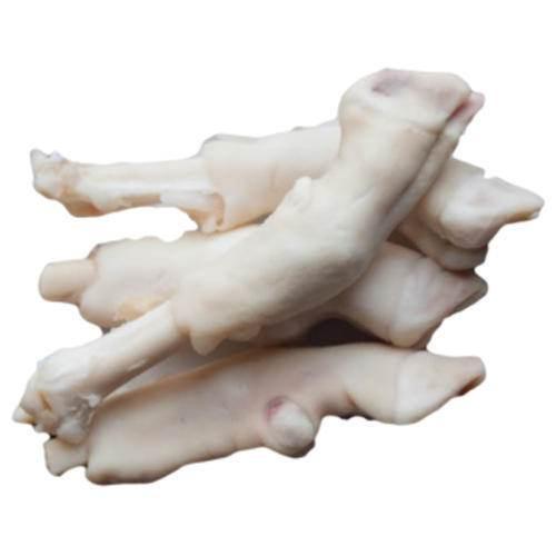 Raw whole mutton paya stacked on white background, fresh goat trotters for cooking