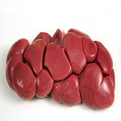 fresh raw ox kidney with smooth, shiny surface on a white background