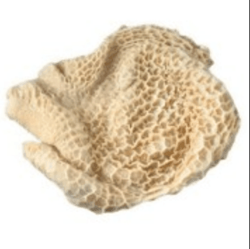 Fresh beige mutton tripe with honeycomb texture isolated on white background